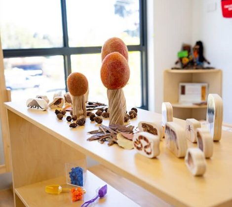 Image-12-qea4b7vxyzf7hwmz2lt1lplfs1yrkclpyhixp7ggdk